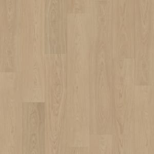 CDL13-839 - small 1