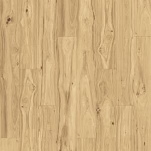 PTL10-258 - small 1