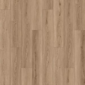 SDS03-848 - small 1