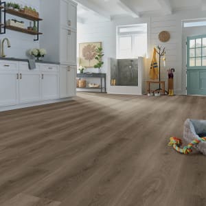 SDS03-879 - small 