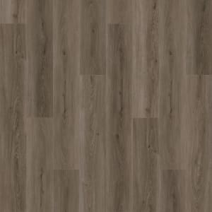SDS03-879 - small 1