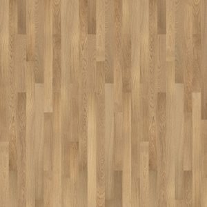 PT021-224 - small 1