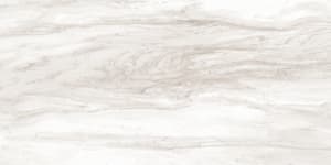 CT75412MOD1P2 - small 1