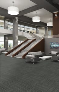 54492_92595 - small 