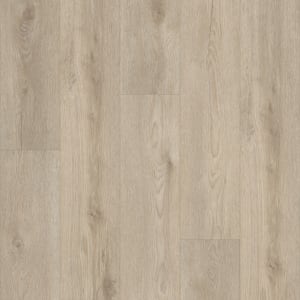 02094_0278V - small 1
