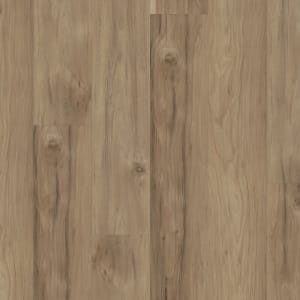 05281_2428V - small 1