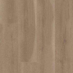 02109-3381V - small 1