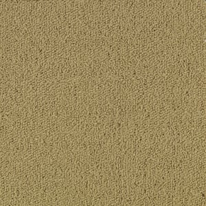 54462_62101 - small 1