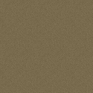 54462_62302 - small 1