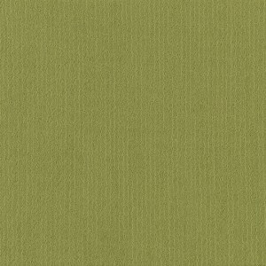 54462_62325 - small 1