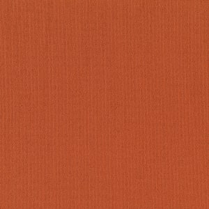 54462_62668 - small 1