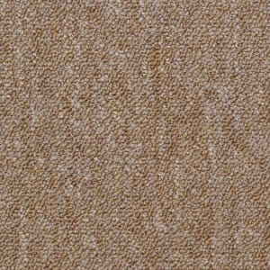 54480_80201 - small 1