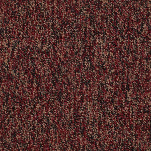 54488_88801 - small 1