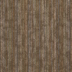 54491_91790 - small 1