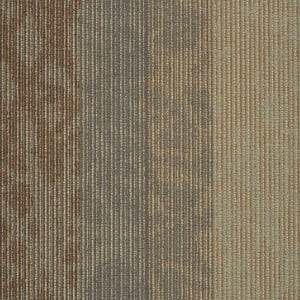 54564_00201 - small 1