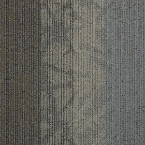 54564_00501 - small 1
