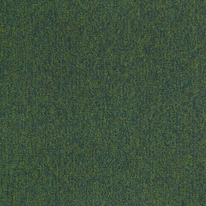 54594_00315 - small 1