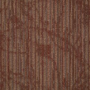54758_00800 - small 1
