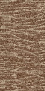 54849_00801 - small 1