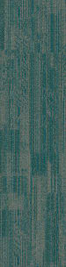 54876_00305 - small 1
