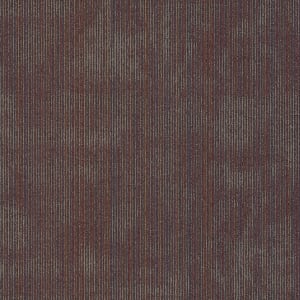 54897_00906 - small 1