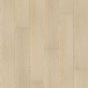 CR501-05085 - small 1
