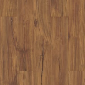 VV023-00201 - small 1