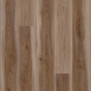 VV855-04056 - small 1