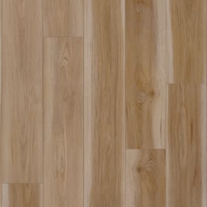 VV855-05063 - small 1
