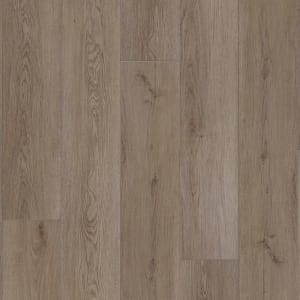 VV855-07036 - small 1