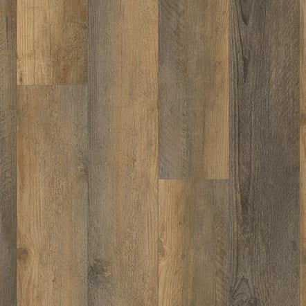P1039-D4001 - Amber Pine