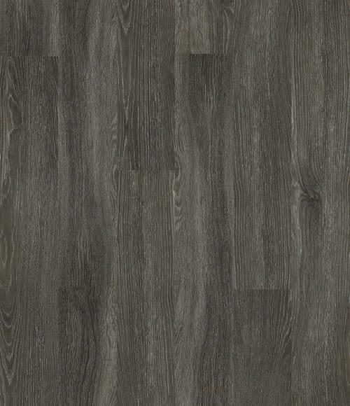 00564_5M304 - Shaw 5th and Main - Symbiotic 30 - Carbon