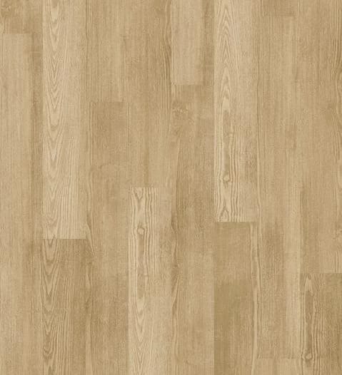 00173_5M304 - Sandstone
