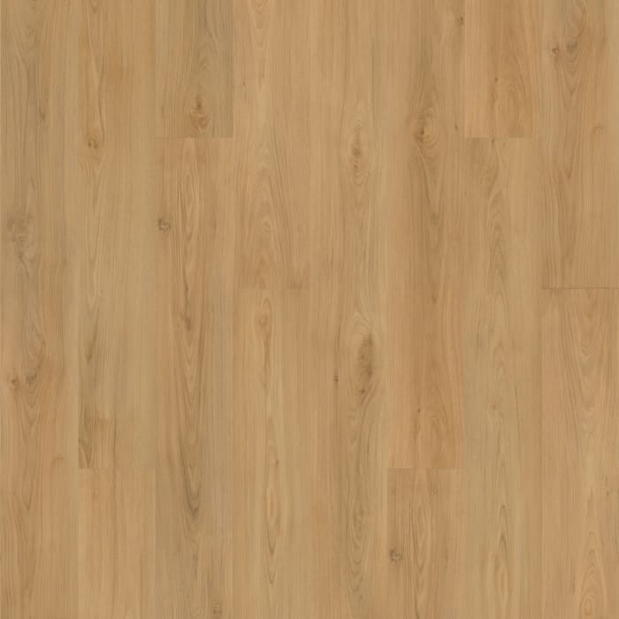SDP10-241 - swatch