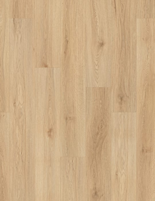 VV017-01020 - Springfield Oak