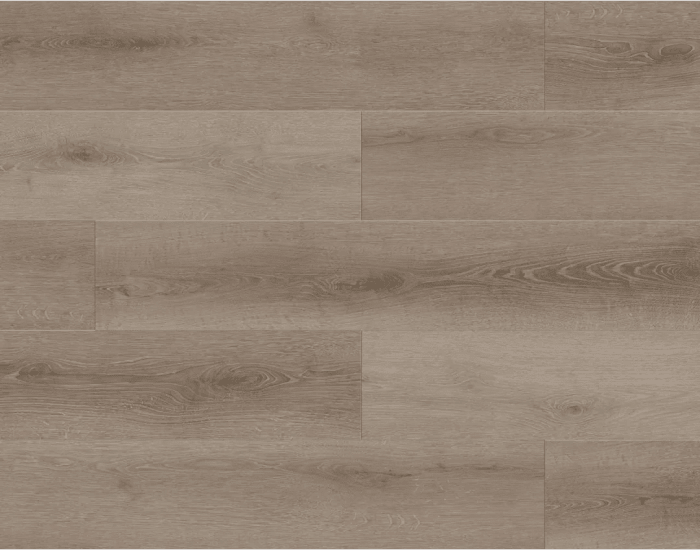 BB-VI - Lions Floor - Bambino SPC - Coffee Feather
