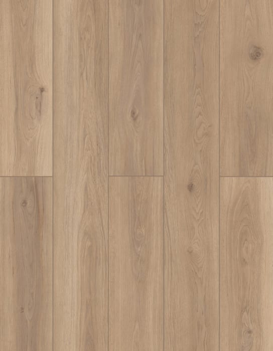 LI-TS201 - Artisan Touch