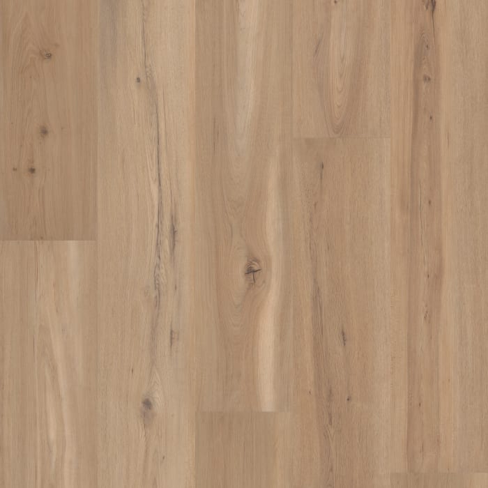 VV810-05026 - Blonde Oak
