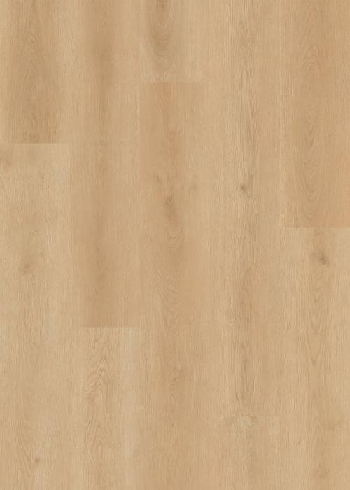 LI-DT01 - swatch