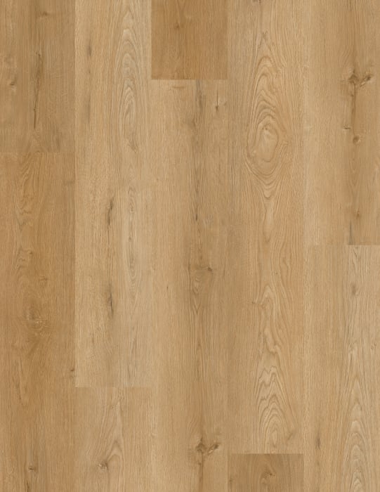 LI-DM11 - Lions Floor - District Max LVP - Belvedere