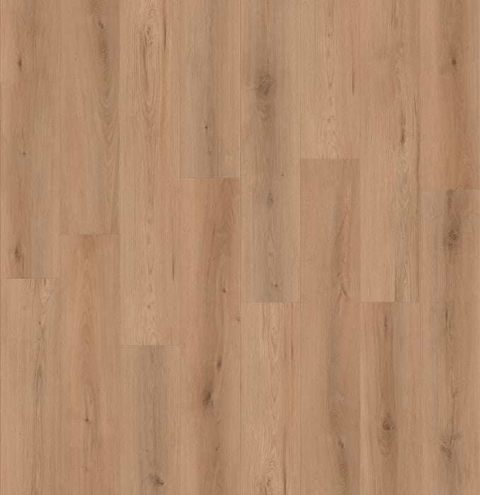 LI-CC03 - swatch