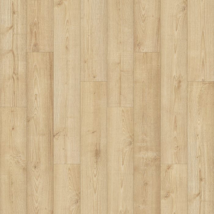 PSR15-148 - Tawny Meadow Oak