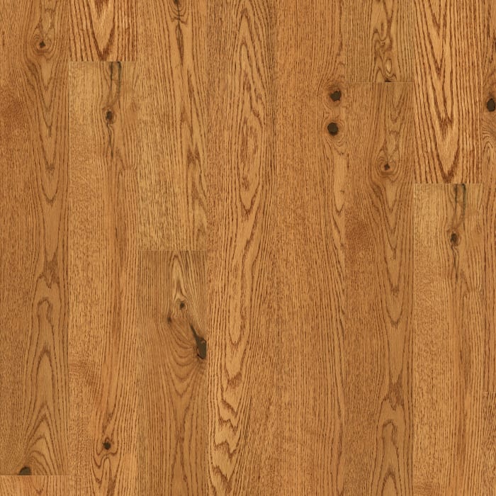 SW786-02080 - Shaw Repel - Lineage Oak 5" - Honey