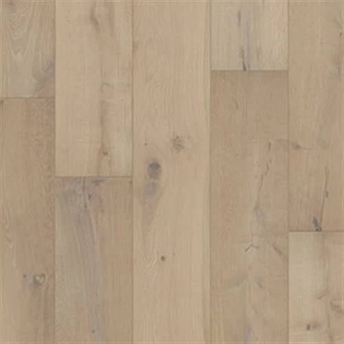 FO901-19617 - Montelimar