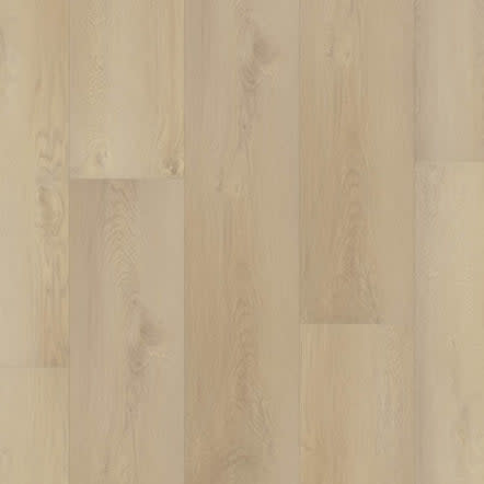 TRUCOR - Prime XXL - Salerno Oak | P2237-M5608