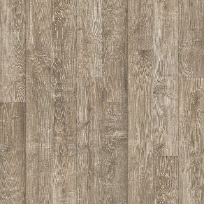 PSR15-968 - Mushroom Oak