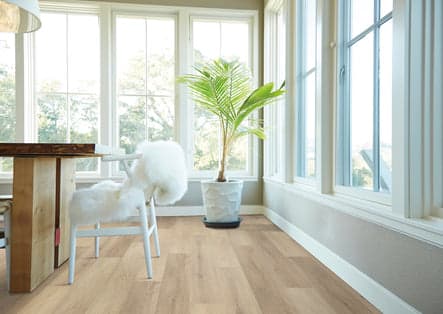 TRUCOR - Prime - Blossom Oak | P2247-M9413