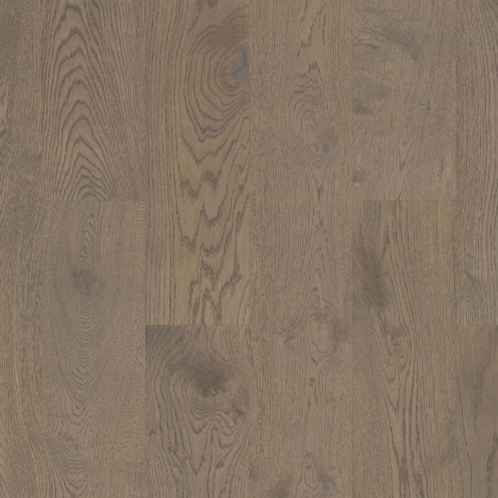 SW485-00508 - Shaw - Castlewood Oak - Armory