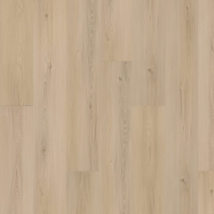 SDP11-218 - Mohawk Solidtech Plus - Eastbrook Shoals - Constance