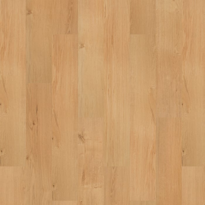 SDS13-465 - Ansley